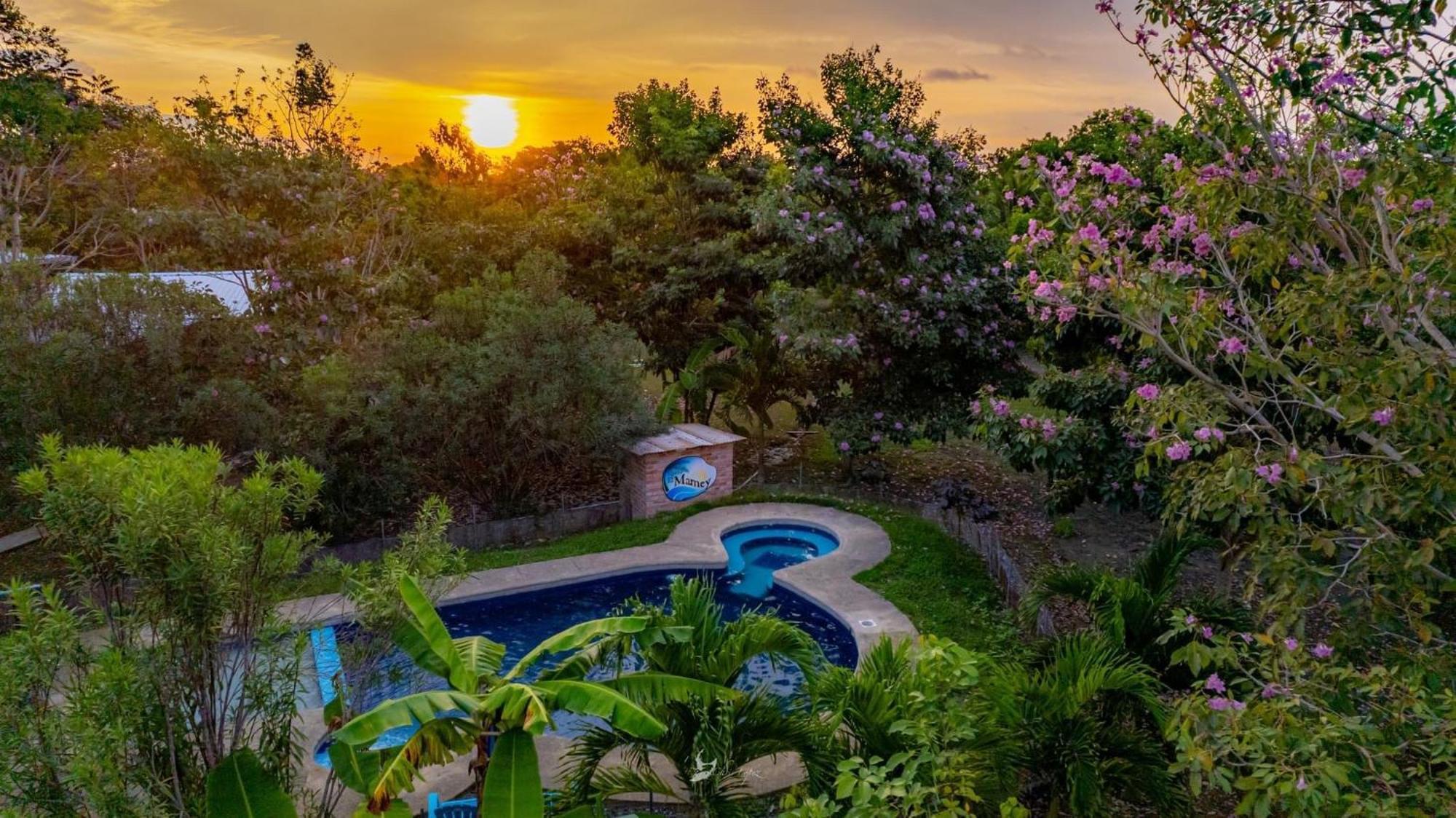 ホテル Quinta El Mamey Río Verde エクステリア 写真