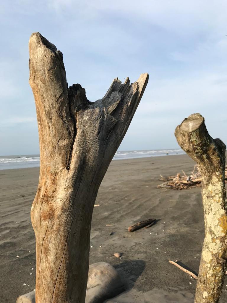 ホテル Quinta El Mamey Río Verde エクステリア 写真
